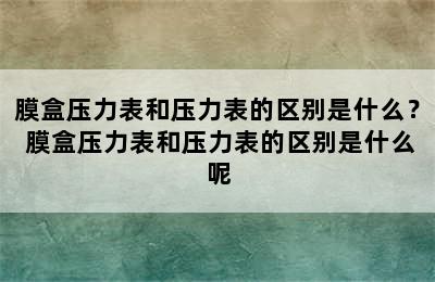 膜盒压力表和压力表的区别是什么？ 膜盒压力表和压力表的区别是什么呢